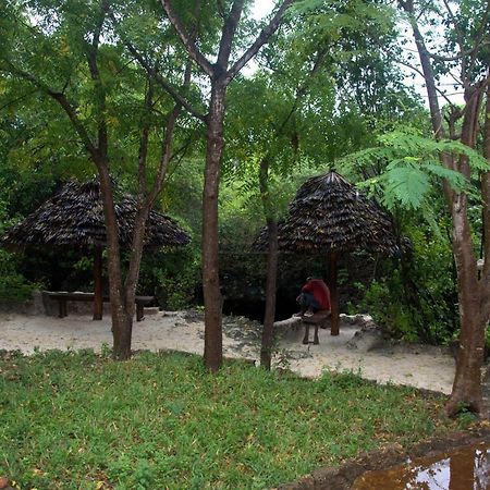 Baraka Aquarium Bungalows Nungwi Ngoại thất bức ảnh