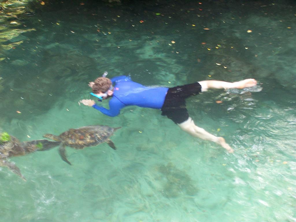 Baraka Aquarium Bungalows Nungwi Ngoại thất bức ảnh