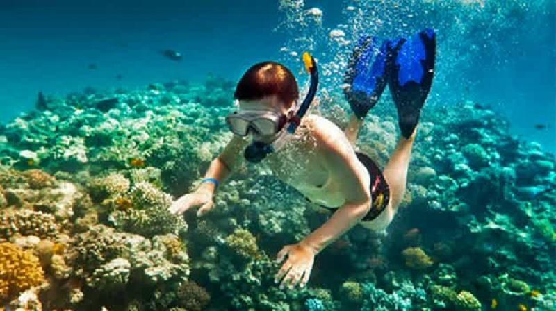Baraka Aquarium Bungalows Nungwi Ngoại thất bức ảnh