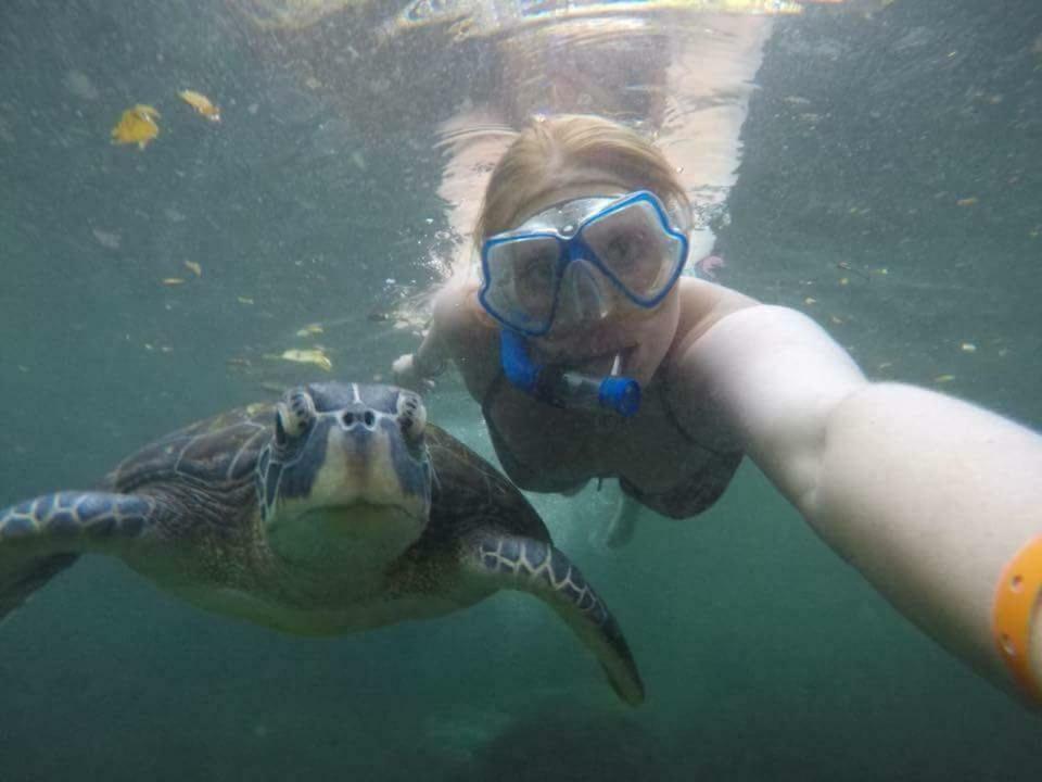 Baraka Aquarium Bungalows Nungwi Ngoại thất bức ảnh