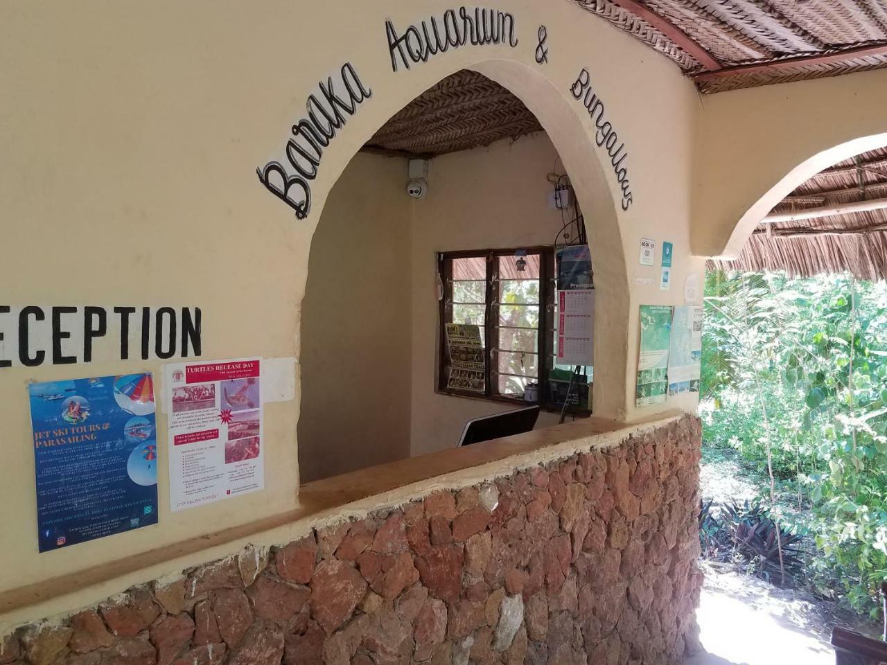 Baraka Aquarium Bungalows Nungwi Ngoại thất bức ảnh